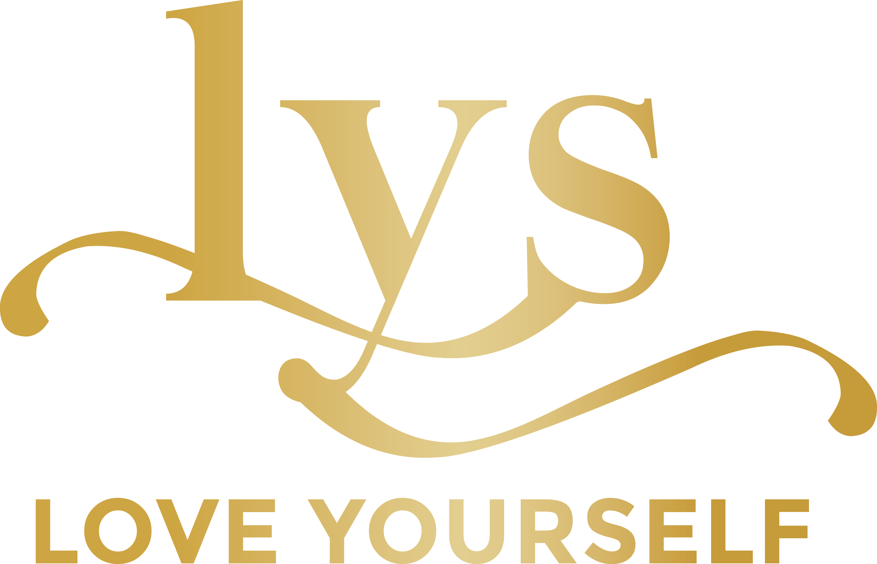 logo of LYS Boutique